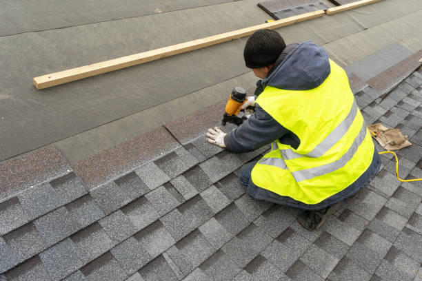 Best Rubber Roofing (EPDM, TPO)  in Dunn Loring, VA